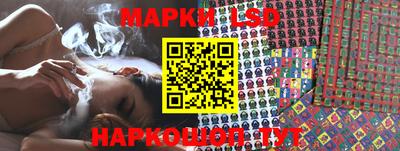 гидропоника Гагарин
