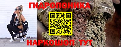 гидропоника Гагарин