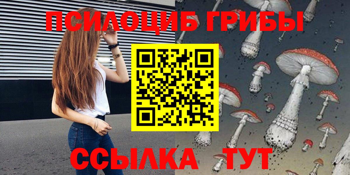 Галлюциногенные грибы Cubensis Малгобек