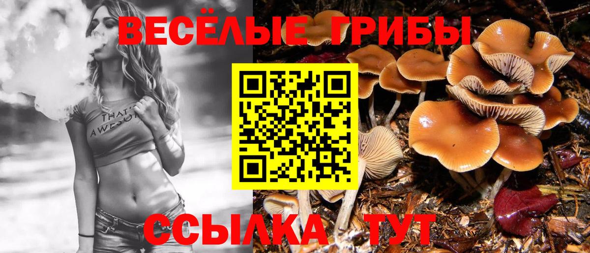 Псилоцибиновые грибы Psilocybe  Вход с VPN  Галлюциногенные грибы Cubensis  Малгобек 