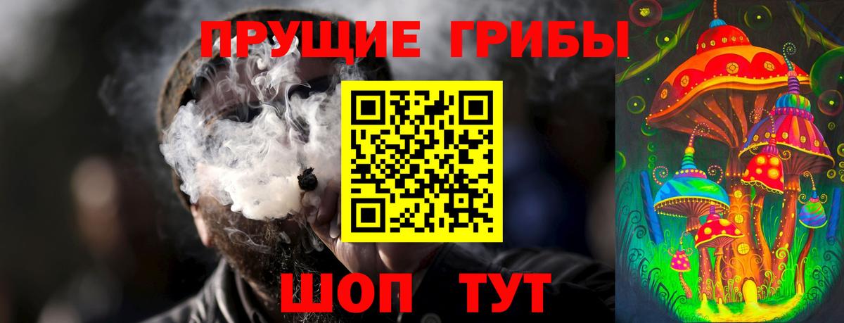 Галлюциногенные грибы Psilocybe Малгобек