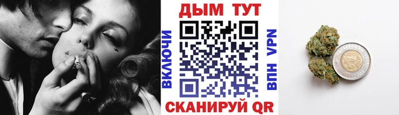 Конопля план  Малгобек 